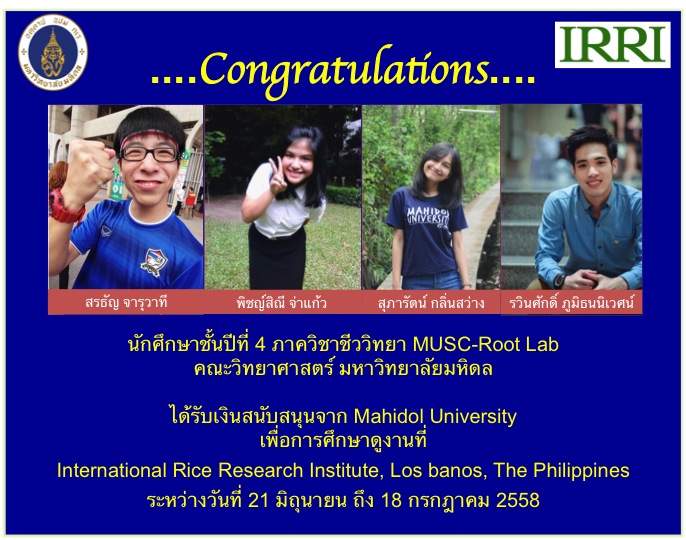 IRRI congrats