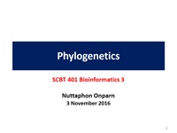 scbt401_phylogenetics_2016