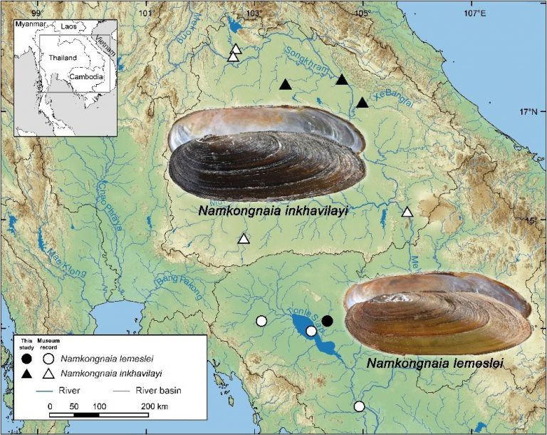 Highlight Activities 2021: Molecular Phylogeny Reveals A New Genus Of ...